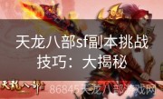 天龙八部sf副本挑战技巧：大揭秘