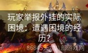 玩家举报外挂的实际困境：遭遇困境的经历？