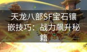 天龙八部SF宝石镶嵌技巧：战力飙升秘籍