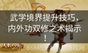 武学境界提升技巧，内外功双修之术揭示！