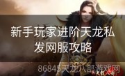新手玩家进阶天龙私发网服攻略