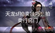 天龙sf拍卖技巧：拍卖行窍门