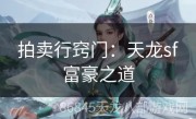 拍卖行窍门：天龙sf富豪之道