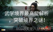 武学境界最高层解析，突破境界之谜！